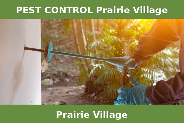 PEST CONTROL Prairie Village